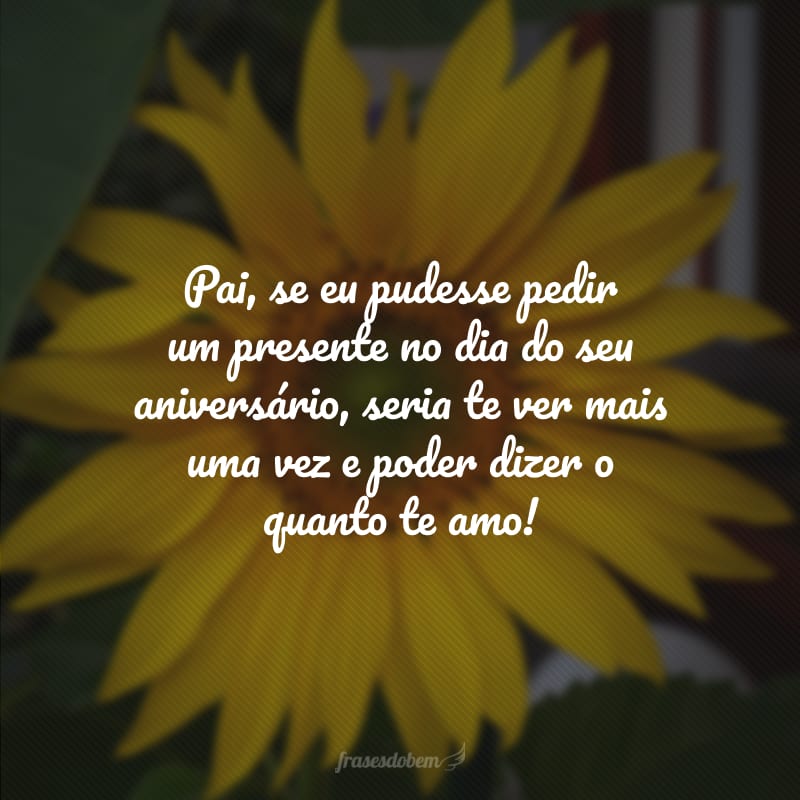 Pai, se eu pudesse pedir um presente no dia do seu aniversário, seria te ver mais uma vez e poder dizer o quanto te amo!