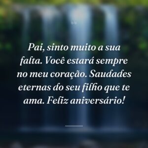 Pai, sinto muito a sua falta. Você estará sempre no meu coração. Saudades eternas do seu filho que te ama. Feliz aniversário!