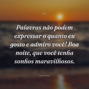 Palavras não podem expressar o quanto eu gosto e admiro você! Boa noite, que você tenha sonhos maravilhosos.