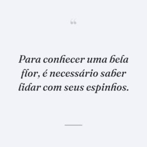Para conhecer uma bela flor, é necessário saber lidar com seus espinhos.