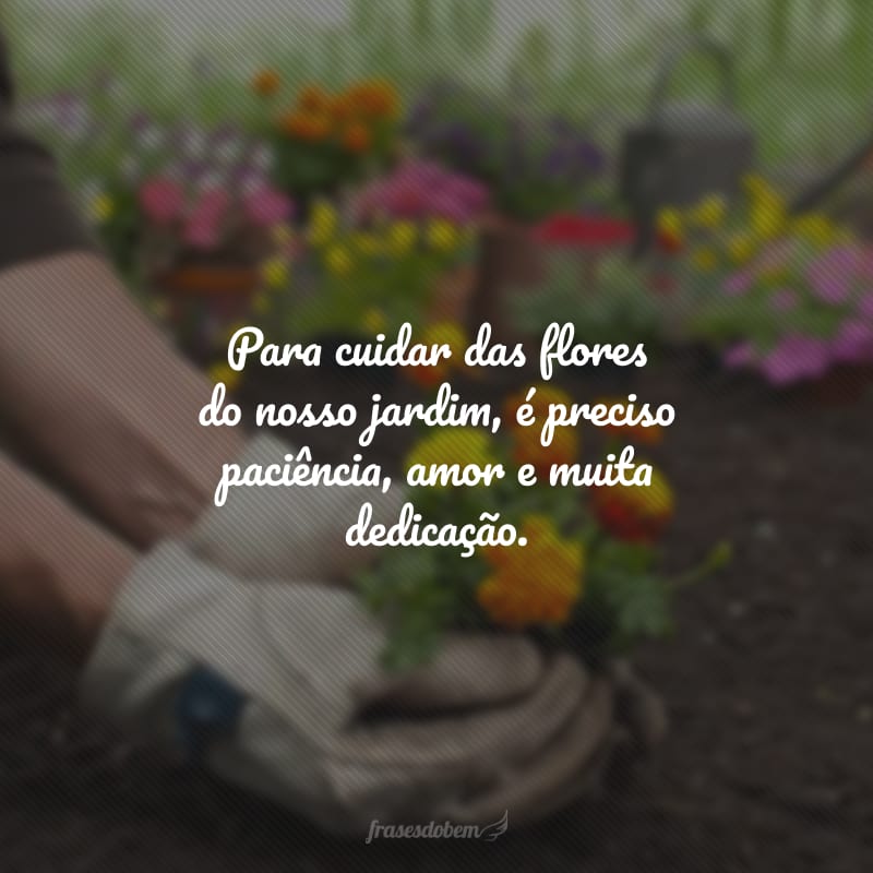 Para cuidar das flores do nosso jardim, é preciso paciência, amor e muita dedicação.