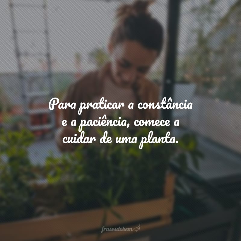 Para praticar a constância e a paciência, comece a cuidar de uma planta.