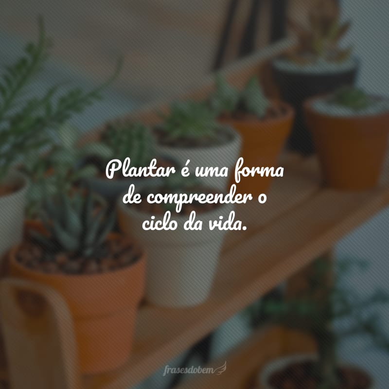 Plantar é uma forma de compreender o ciclo da vida.