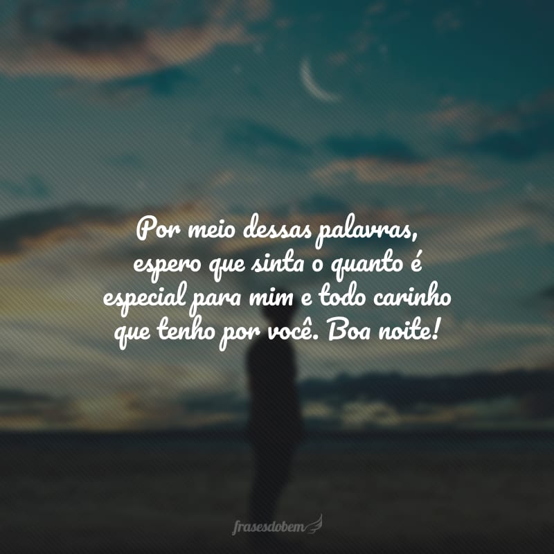 Por meio dessas palavras, espero que sinta o quanto é especial para mim e todo carinho que tenho por você. Boa noite!