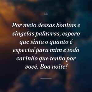 Por meio dessas bonitas e singelas palavras, espero que sinta o quanto é especial para mim e todo carinho que tenho por você. Boa noite!