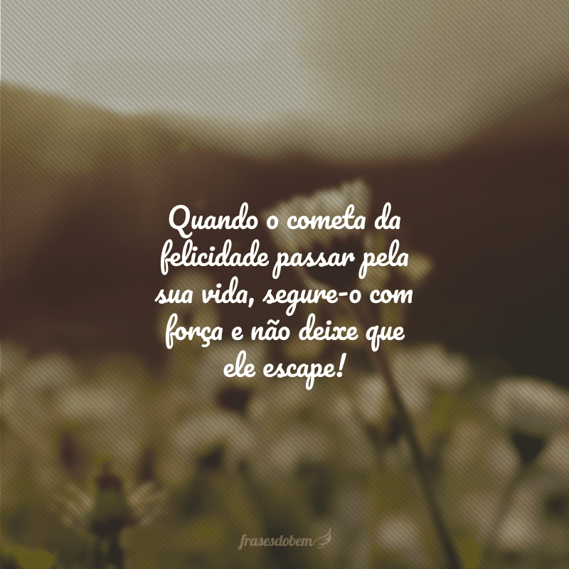 Quando o cometa da felicidade passar pela sua vida, segure-o com força e não deixe que ele escape!