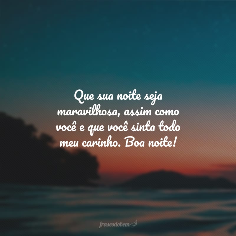 Que sua noite seja maravilhosa, assim como você e que você sinta todo meu carinho. Boa noite!