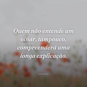 Quem não entende um olhar, tampouco, compreenderá uma longa explicação.