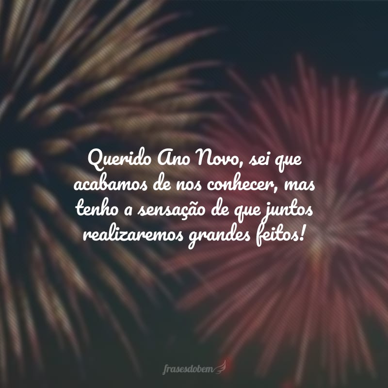 Querido Ano Novo, sei que acabamos de nos conhecer, mas tenho a sensação de que juntos realizaremos grandes feitos!