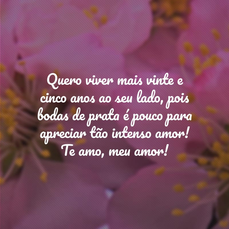 Quero viver mais vinte e cinco anos ao seu lado, pois bodas de prata é pouco para apreciar tão intenso amor! Te amo, meu amor!