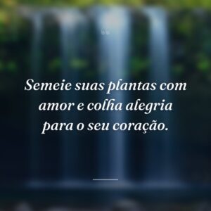 Semeie suas plantas com amor e colha alegria para o seu coração.