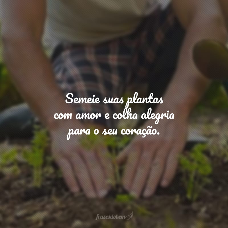 Semeie suas plantas com amor e colha alegria para o seu coração.