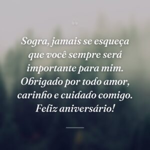 Sogra, jamais se esqueça que você sempre será importante para mim. Obrigado por todo amor, carinho e cuidado comigo. Feliz aniversário!