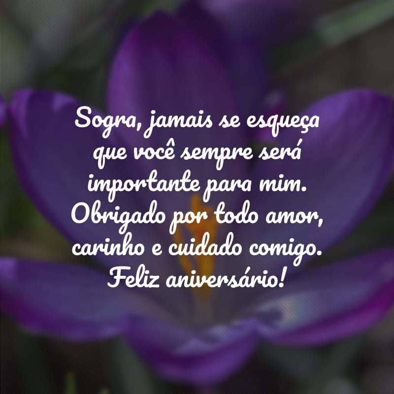 Sogra, jamais se esqueça que você sempre será importante para mim. Obrigado por todo amor, carinho e cuidado comigo. Feliz aniversário!
