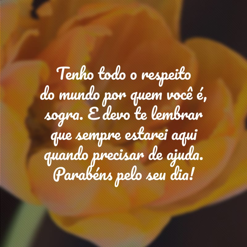 Tenho todo o respeito do mundo por quem você é, sogra. E devo te lembrar que sempre estarei aqui quando precisar de ajuda. Parabéns pelo seu dia!