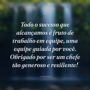 Todo o sucesso que alcançamos é fruto de trabalho em equipe, uma equipe guiada por você. Obrigado por ser um chefe tão generoso e resiliente!