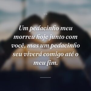Um pedacinho meu morreu hoje junto com você, mas um pedacinho seu viverá comigo até o meu fim.