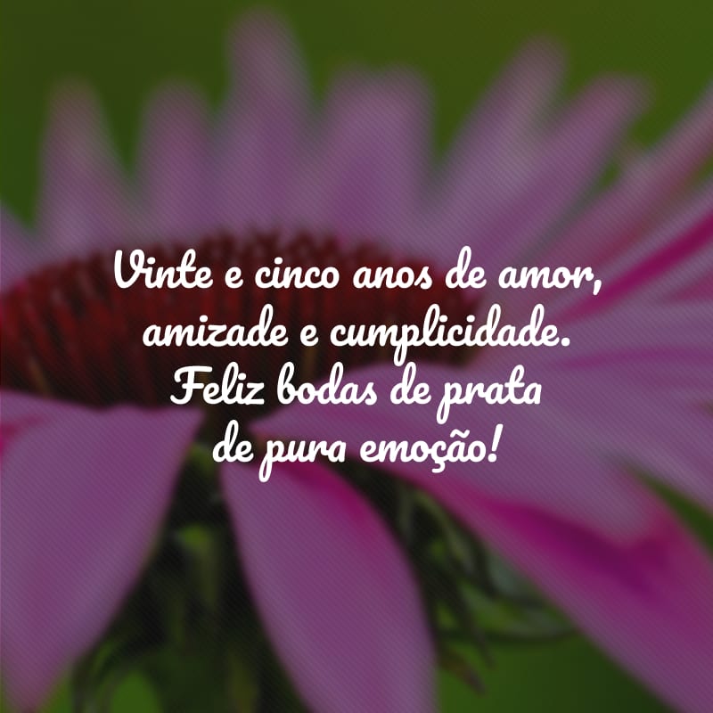 Vinte e cinco anos de amor, amizade e cumplicidade. Feliz bodas de prata de pura emoção!