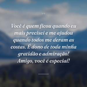 Você é quem ficou quando eu mais precisei e me ajudou quando todos me deram as costas. É dono de toda minha gratidão e admiração! Amigo, você é especial!