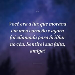 Você era a luz que morava em meu coração e agora foi chamada para brilhar no céu. Sentirei sua falta, amiga!