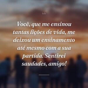 Você, que me ensinou tantas lições de vida, me deixou um ensinamento até mesmo com a sua partida. Sentirei saudades, amigo!