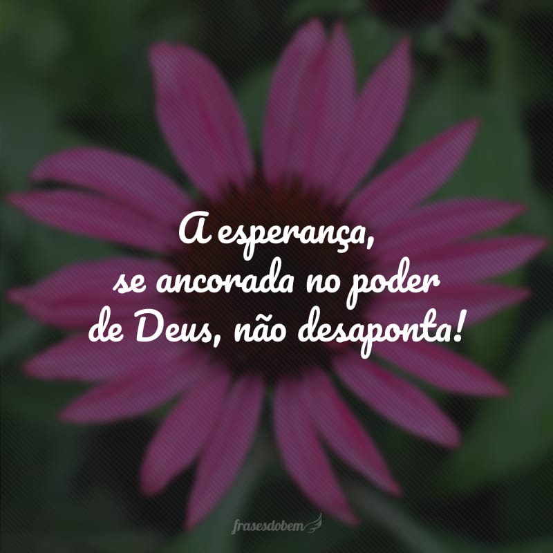 A esperança, se ancorada no poder de Deus, não desaponta! 