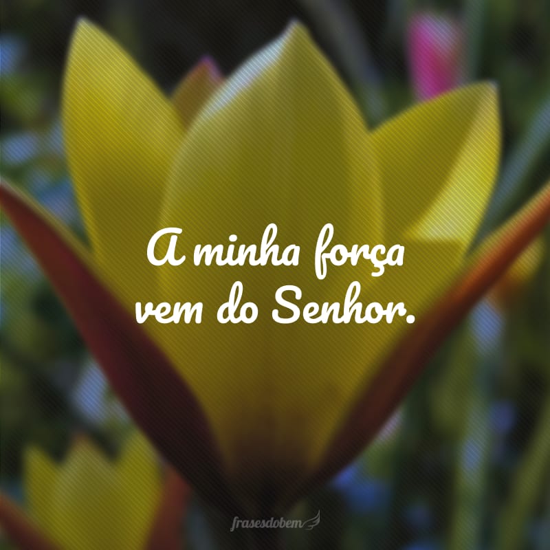 A minha força vem do Senhor. 