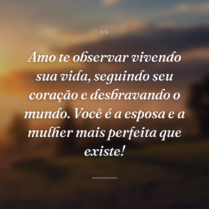 Amo te observar vivendo sua vida, seguindo seu coração e desbravando o mundo. Você é a esposa e a mulher mais perfeita que existe!