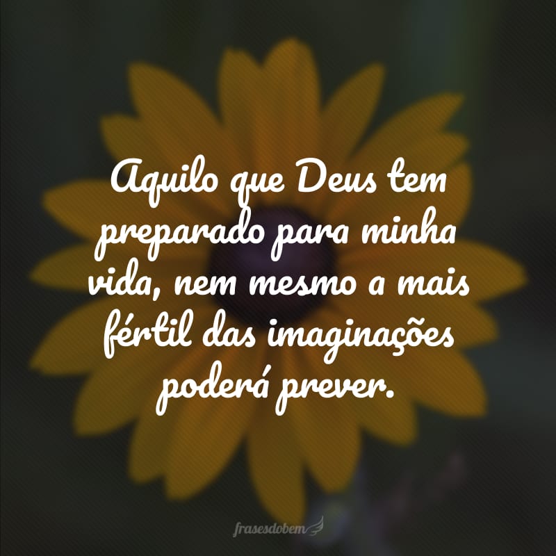 Aquilo que Deus tem preparado para minha vida, nem mesmo a mais fértil das imaginações poderá prever. 