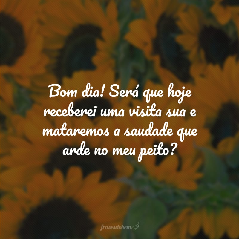 Bom dia! Será que hoje receberei uma visita sua e mataremos a saudade que arde no meu peito?