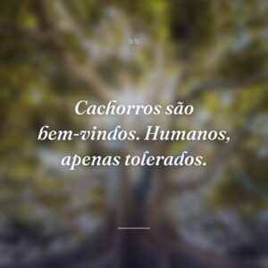 Cachorros são bem-vindos. Humanos, apenas tolerados.
