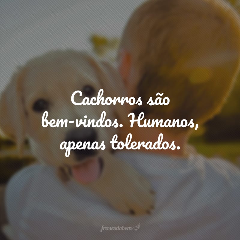 Cachorros são bem-vindos. Humanos, apenas tolerados.