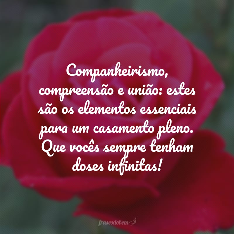 Companheirismo, compreensão e união: estes são os elementos essenciais para um casamento pleno. Que vocês sempre tenham doses infinitas!