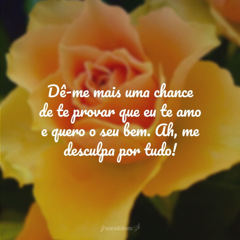 Dê-me mais uma chance de te provar que eu te amo e quero o seu bem. Ah, me desculpa por tudo! 