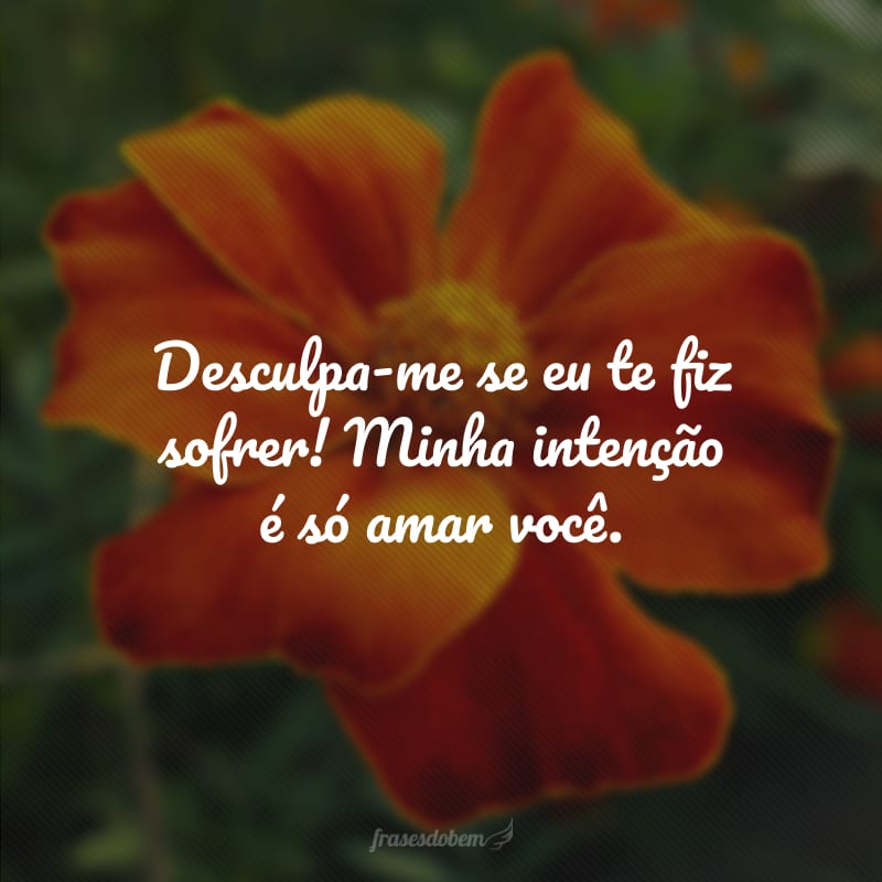 Desculpa-me se eu te fiz sofrer! Minha intenção é só amar você.