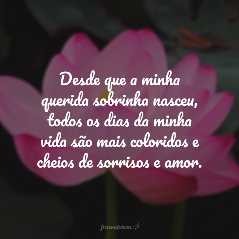 Desde que a minha querida sobrinha nasceu, todos os dias da minha vida são mais coloridos e cheios de sorrisos e amor.