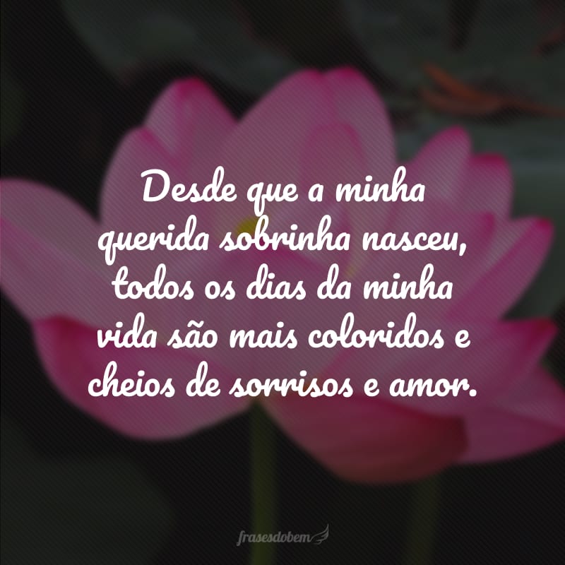 Desde que a minha querida sobrinha nasceu, todos os dias da minha vida são mais coloridos e cheios de sorrisos e amor.