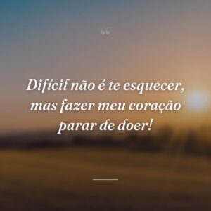 Difícil não é te esquecer, mas fazer meu coração parar de doer!