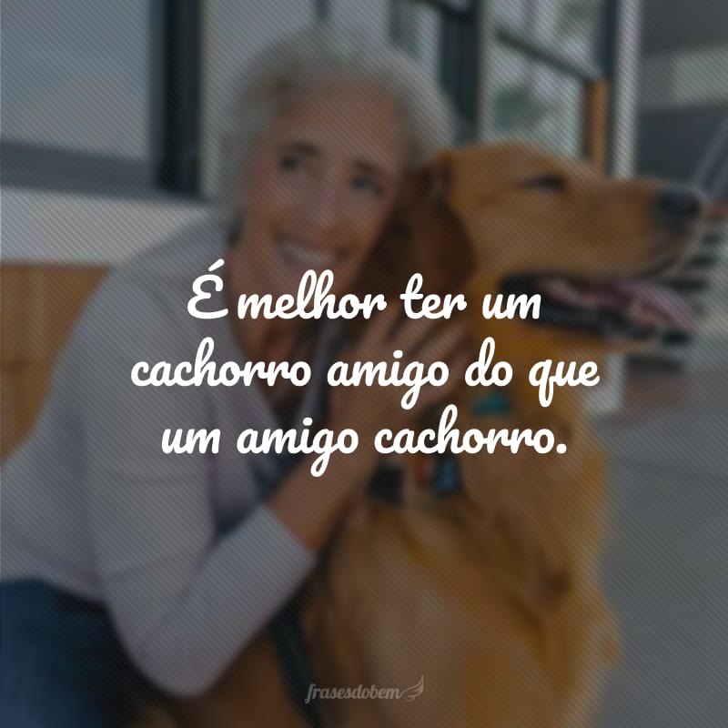 É melhor ter um cachorro amigo do que um amigo cachorro.