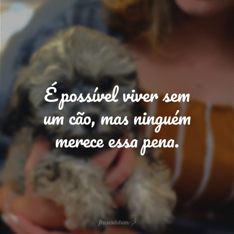 É possível viver sem um cão, mas ninguém merece essa pena.