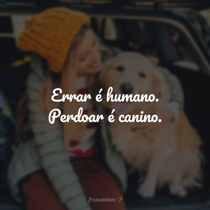 Errar é humano. Perdoar é canino.