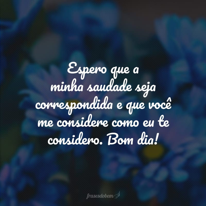 Espero que a minha saudade seja correspondida e que você me considere como eu te considero. Bom dia!