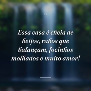 Essa casa é cheia de beijos, rabos que balançam, focinhos molhados e muito amor!