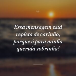 Essa mensagem está repleta de carinho, porque é para minha querida sobrinha!