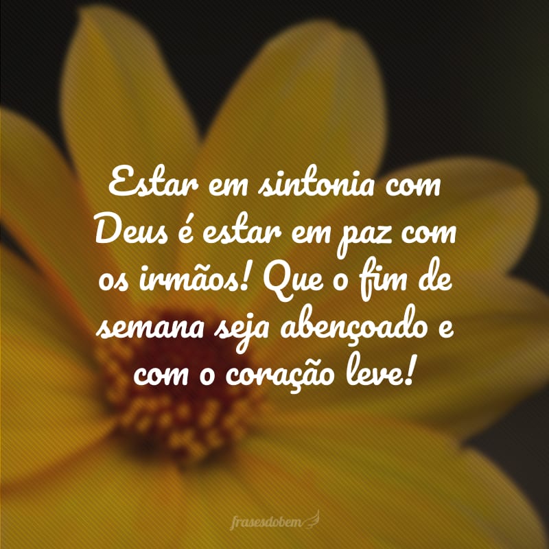 Estar em sintonia com Deus é estar em paz com os irmãos! Que o fim de semana seja abençoado e com o coração leve!