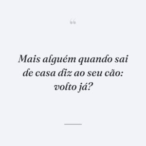 Mais alguém quando sai de casa diz ao seu cão: volto já?