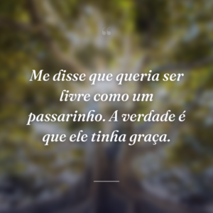 Me disse que queria ser livre como um passarinho. A verdade é que ele tinha graça.