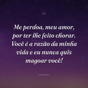 Me perdoa, meu amor, por ter lhe feito chorar. Você é a razão da minha vida e eu nunca quis magoar você!