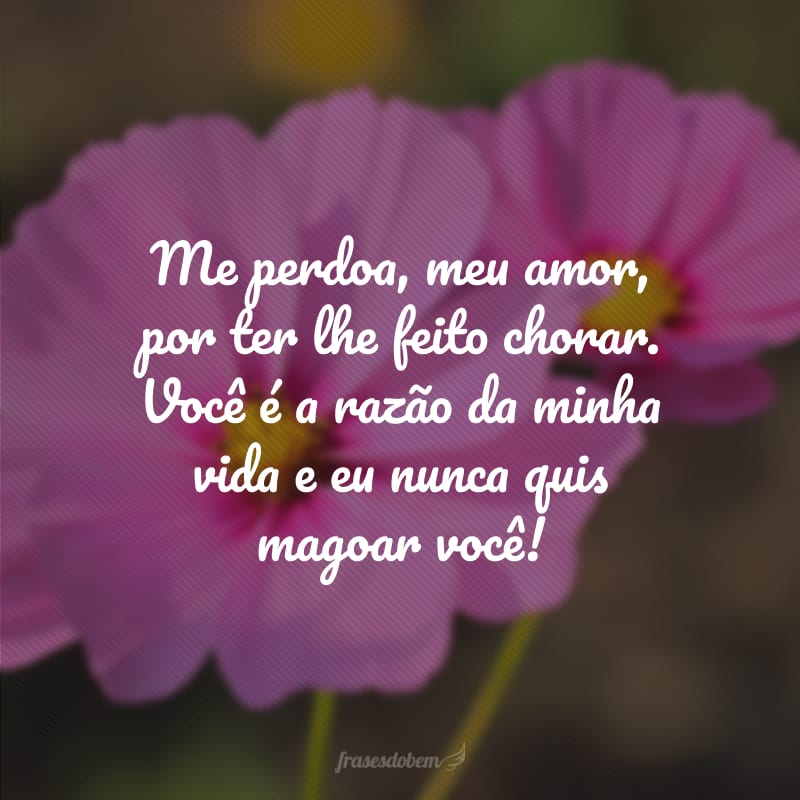 Me perdoa, meu amor, por ter lhe feito chorar. Você é a razão da minha vida e eu nunca quis magoar você! 