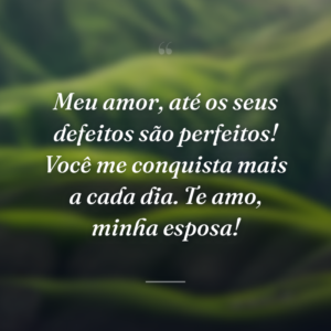 Meu amor, até os seus defeitos são perfeitos! Você me conquista mais a cada dia. Te amo, minha esposa!